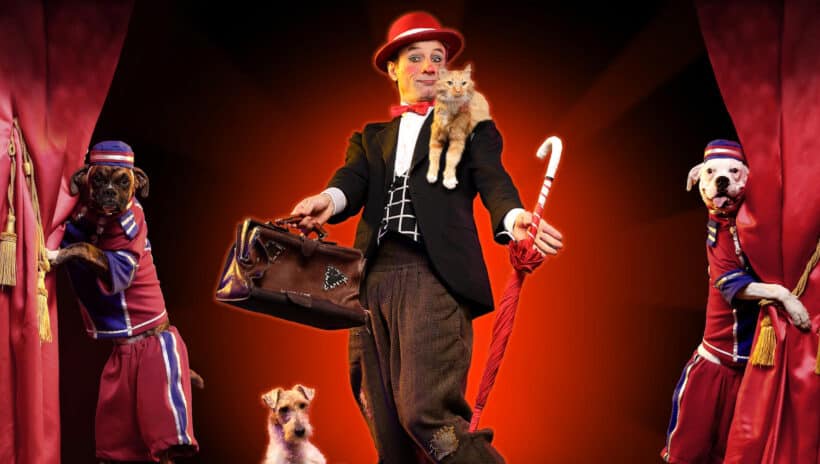 Man with cats and dogs on stage