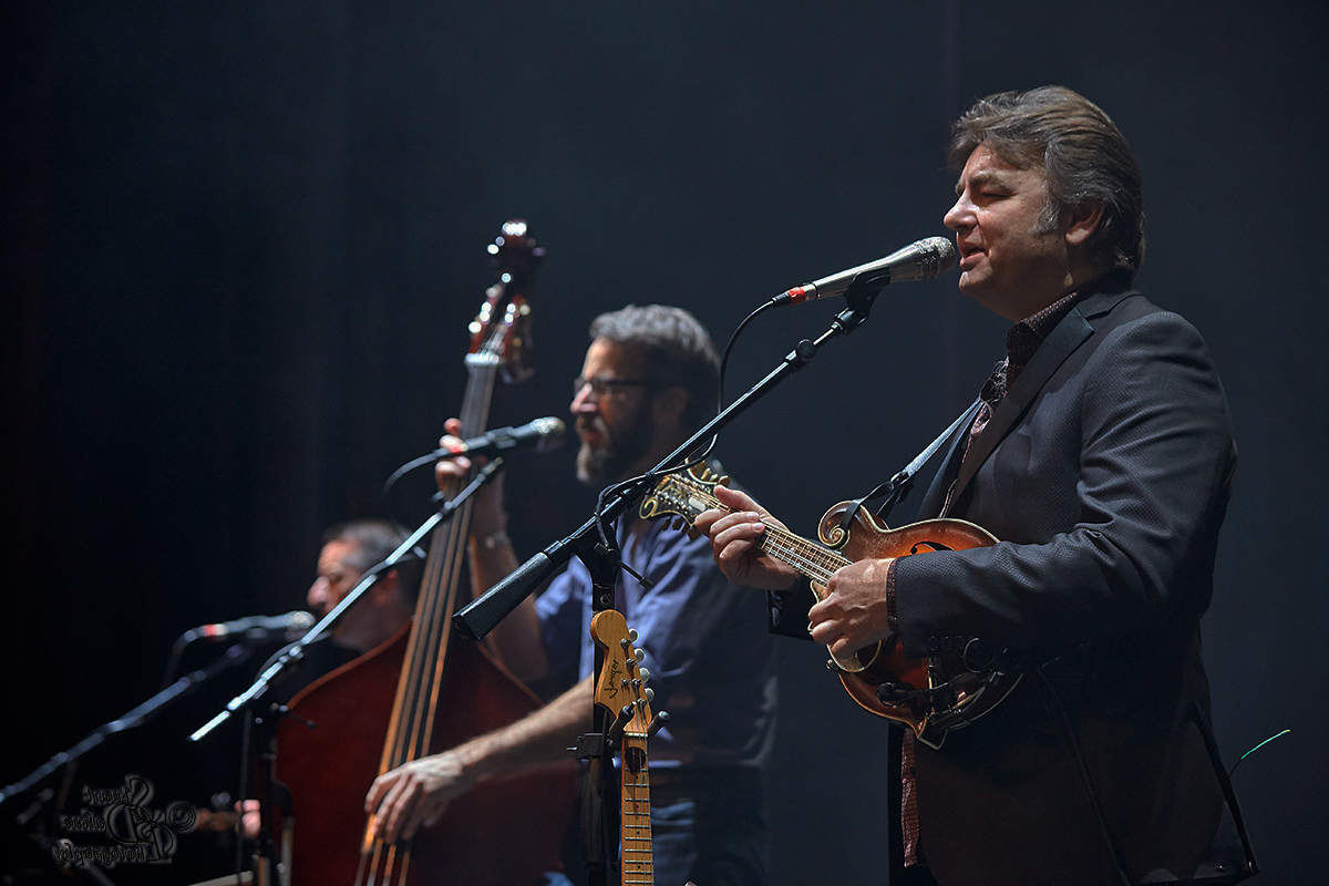 musicians with instruments performing on stage.